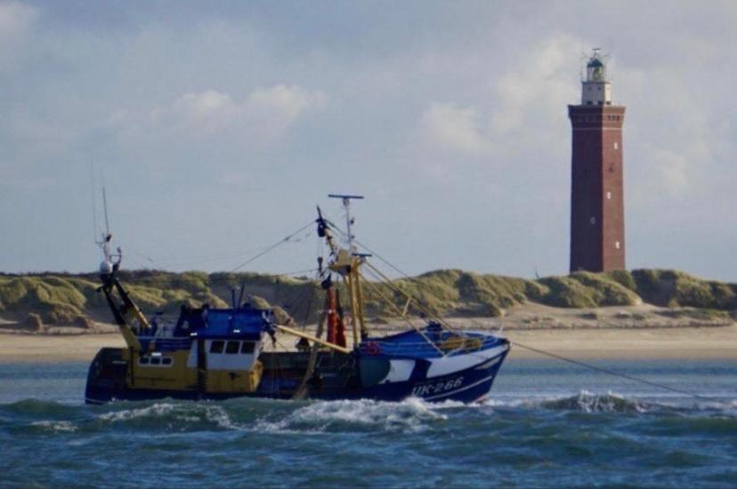 Caravan Stadstuin Goedereede Let Op De Badkamer Moet Met Andere Gasten Gedeeld Worden Exterior foto